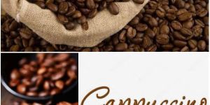 Roasted Coffee Beans