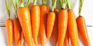 Fresh Orange Carrot