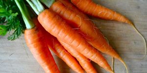 Fresh Organic Carrot