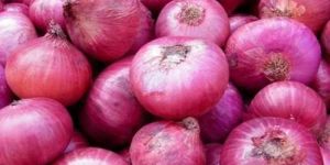 Fresh Pink Onion