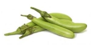 Green Long Brinjal