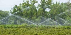 Sprinkler Irrigation System