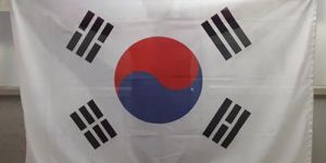 Polyester International Flag
