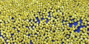 Lpsyn Round Process Diamond