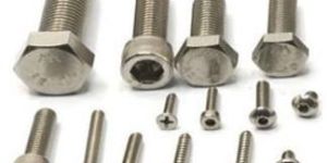 Stainless Steel Hex Bolt