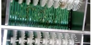 Vegetable Washing Brushes