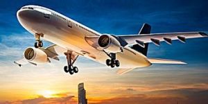 Airline Ticketing Agents
