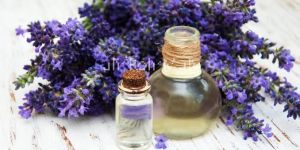 Lavender Oil