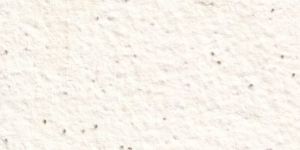 Plantable Seed Paper (Tulsi)