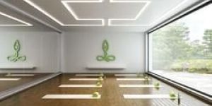 Linear LED Light