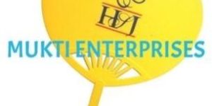 Plastic Promotional Hand Fan