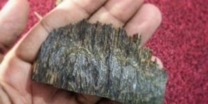 Agarwood Chips