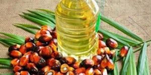 Palm Oil
