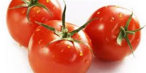Tomato