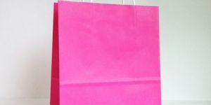 Cosmetic Paper Carry Bag