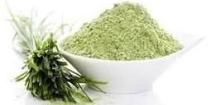 Wheat Grass Powder
