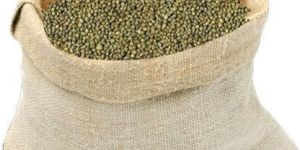 Green Millet Seeds