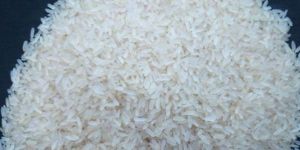 Gujarat 17 Rice