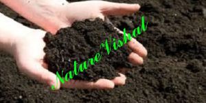 NATURE VISHAL - PhosphateRichOrganicManure (PROM)