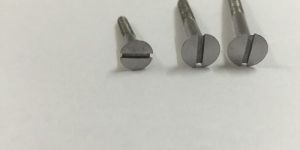 Stainless Steel Wood Screw