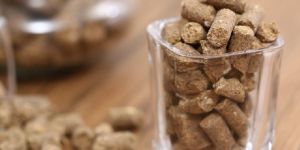 Molasses Flavour Cattle Feed