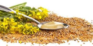 Mustard Oil