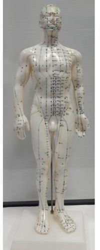 Fiberglass Acup Model