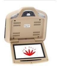 LCD Roof Mount Monitor