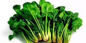 Fresh Spinach Leaves