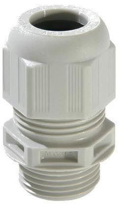 Cable Gland