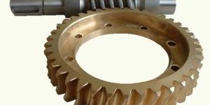 Worm Gear