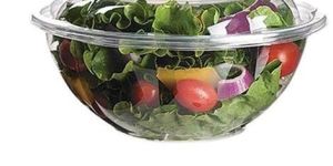 Transparent Plastic Container