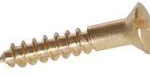 Raised Head Screw