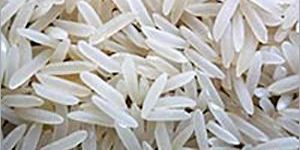 Sharbati Parboiled Rice