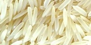 SUGANDHA CREAMY SELLA RICE