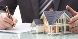 Real Estate Consultant