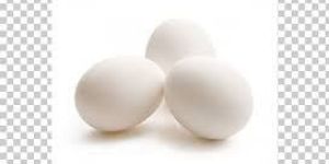 White Egg Products
