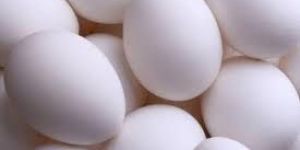 White Shell Eggs