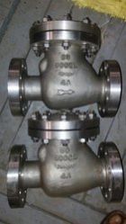Stainless Steel Valves