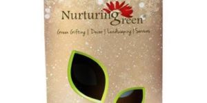 Multicolor Printed Gift Box