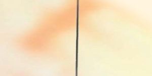 Electric Patio Heater