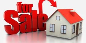Property Selling Services