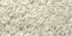 Swarna Basmati Rice
