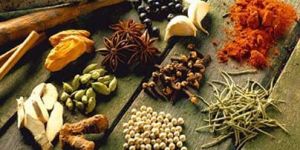 Indian Spices