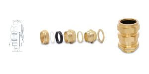 CW NPT Type Cable Gland