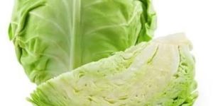 Fresh Cabbage