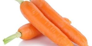 Fresh Carrot