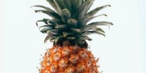 Fresh Pineapple