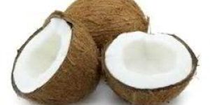Matured Coconut