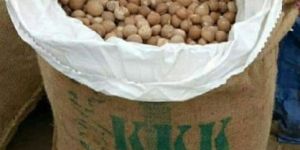 Burma Gota Betel Nut